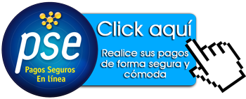 Medio de pago en linea en Tecnologia Caqueta - Pago-Online PSE